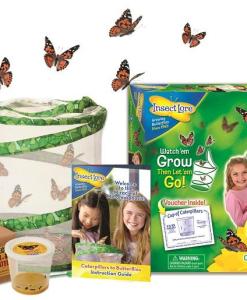 Live Butterfly Garden by Insect Lore sold by Gifts for Little Hands