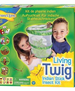Living Twig Stick Insect Kit sold by Gifts for Little Hands